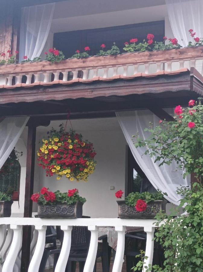 Guesthouse Dida Sapareva Banja Exteriör bild